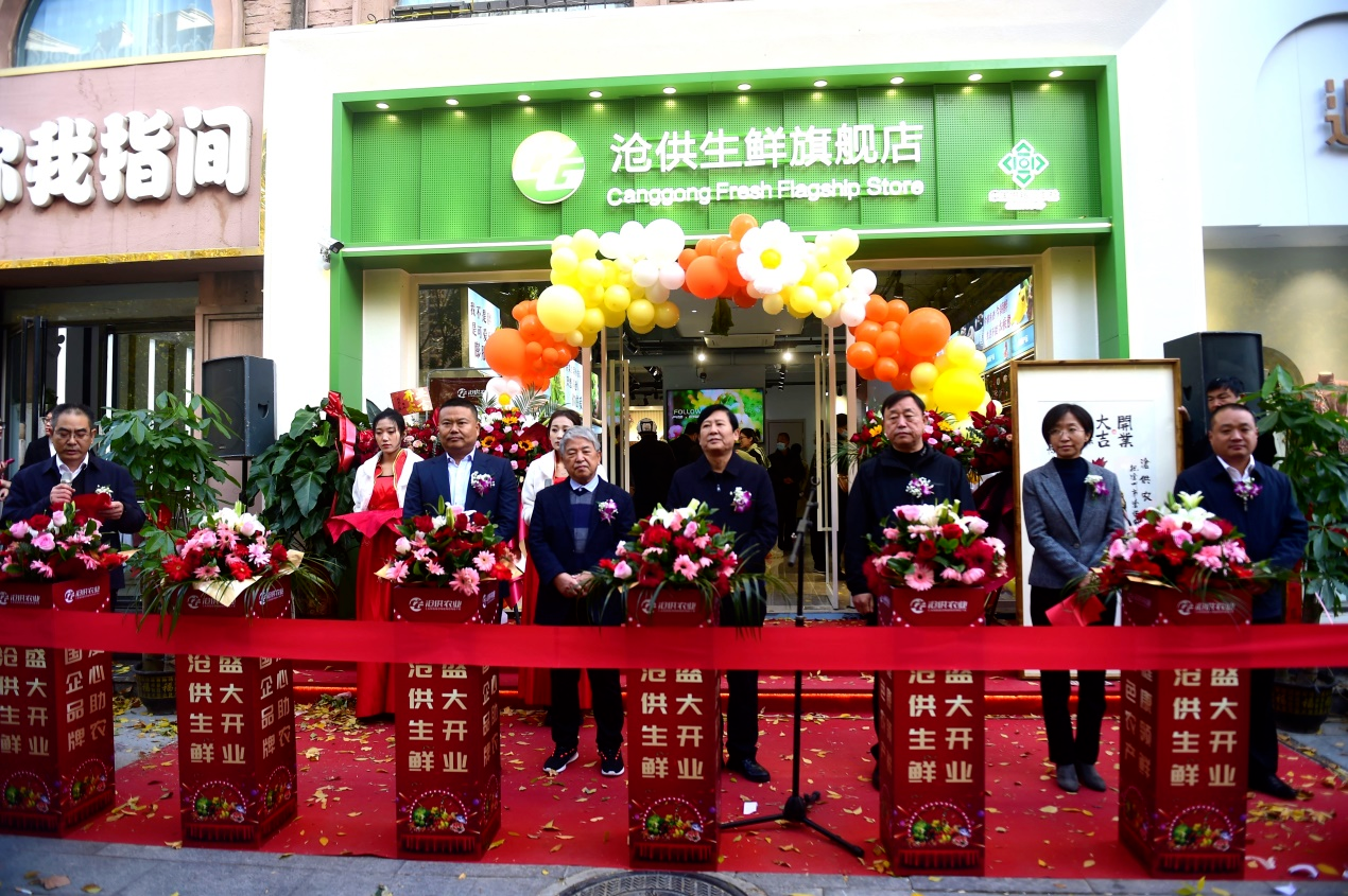 河北沧州：从田间地头到百姓餐桌，打造“全链条”丰富群众“菜篮子”