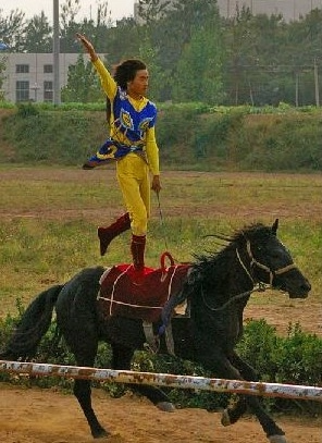 马戏游乐园